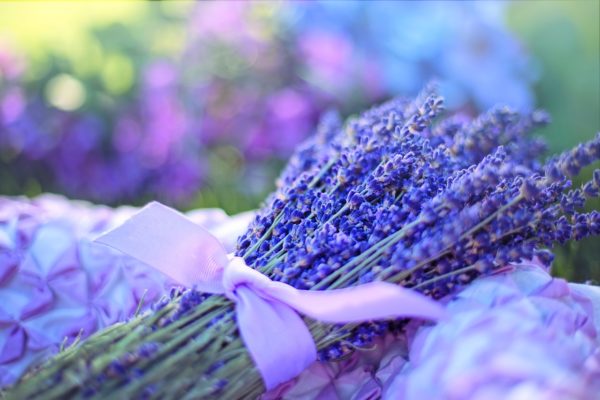 Lavendel hat eine natürlich beruhigende Wirkung.