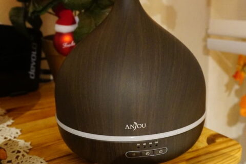 Anjou Aroma Diffusor mit 500 ml ausgeschaltet