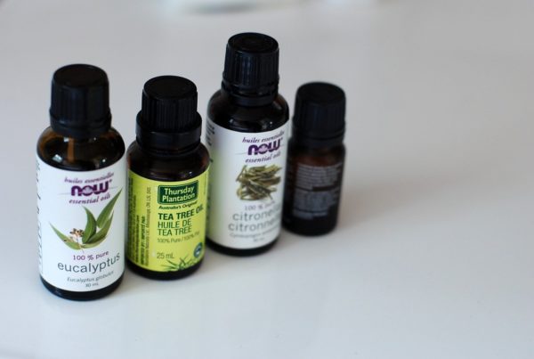 Eukalyptusöl und andere ätherischen Öle in der Aromatherapie
